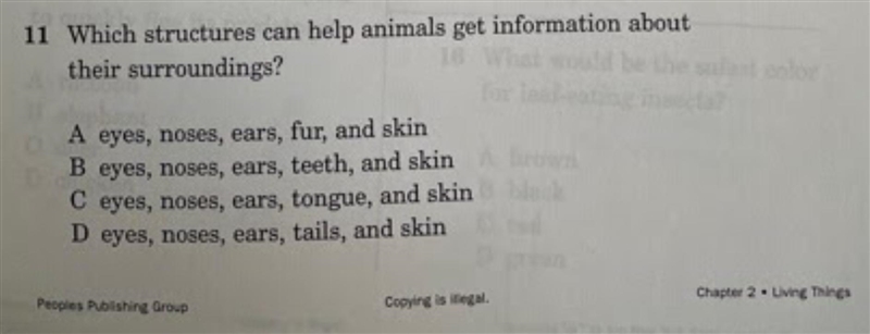 I really don’t know the answer. Pleasee don’t just answer for points.-example-1