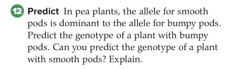 Predict: In pea plants, the allele for smooth pods is dominant to the allele for bumpy-example-1