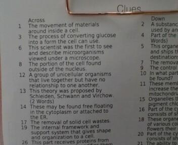 CELL STRUCTURE CROSSWORD GRADE 7 BIOLOGY-example-1