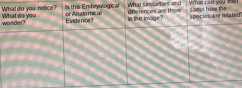 The three animals are a turtle, a mouse, and a bat. Answer the questions below or-example-1