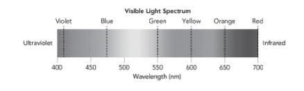 Hal wonders about the properties of electromagnetic waves that make up the visible-example-1