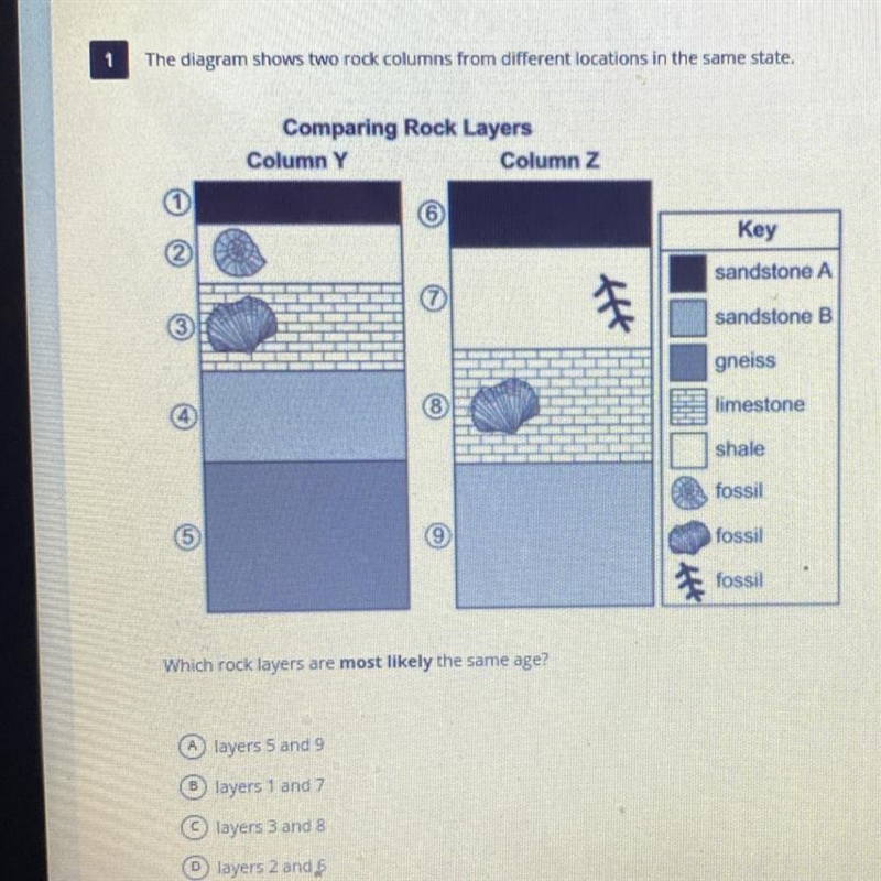 Which rock layers are most likely the same age? A.) Layers 5 and 9 B.) Layers 1 and-example-1