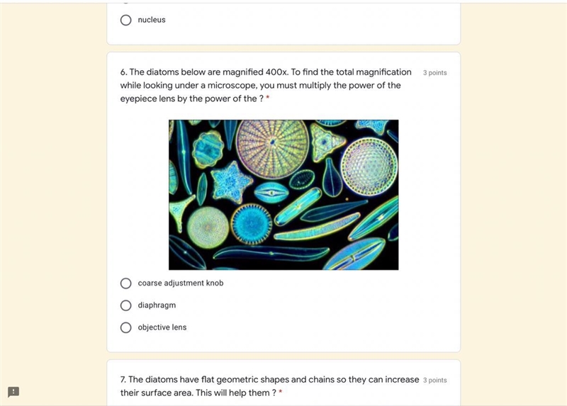 The diatoms below are magnified 400x. To find the total magnification while looking-example-1