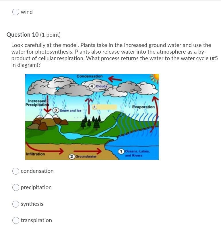 Help with ALL of the questions, please when answering include which number-example-5