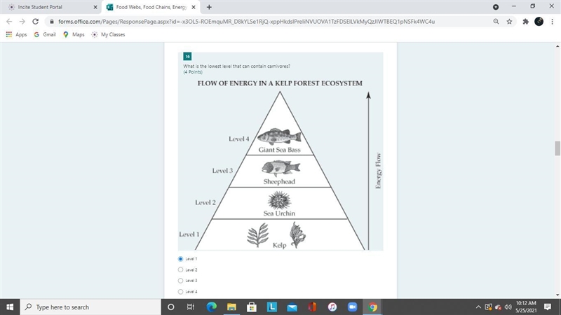 Can someone please help me explain I don't understand-example-1