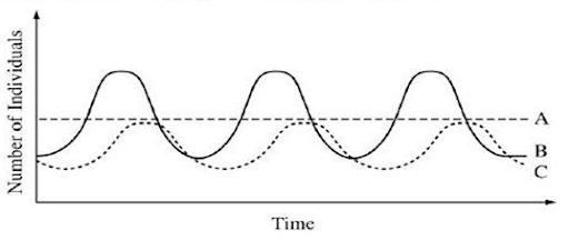 USING THE GRAPH BELOW, ANSWER THE QUESTION. Q. There are 3 different populations in-example-1