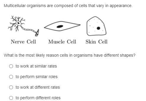 Multicellular organisms are composed of cells that vary in appearance. What is the-example-1