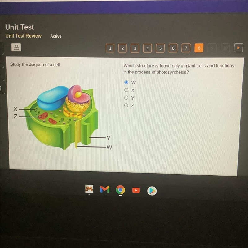 Study the diagram of a cell. Which structure is found only in plant cells and functions-example-1