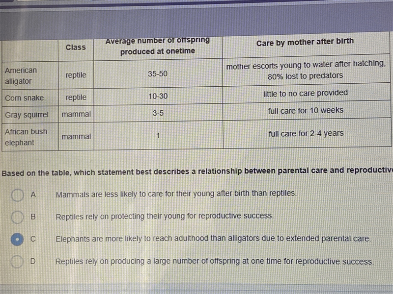 Question and answer choices in the picture-example-1