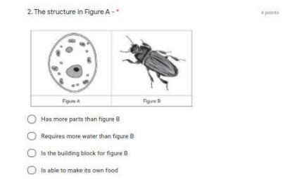 Pleaseeeee i need No.2 please-example-1