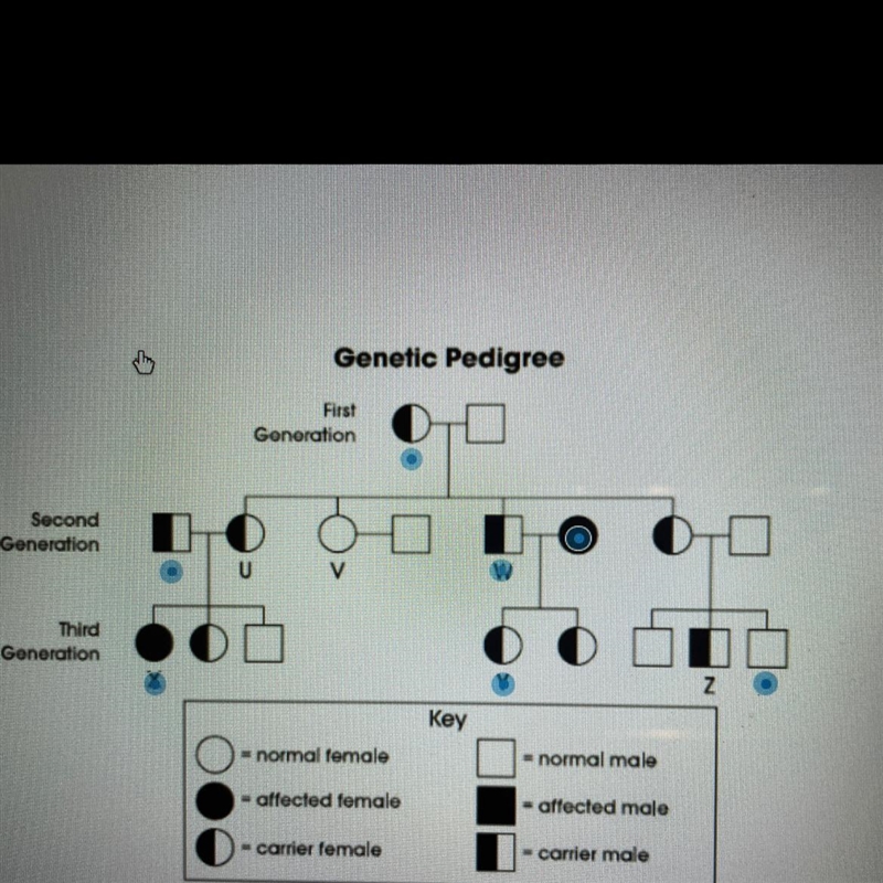 Using the pedigree label the genotype of the first generation carrier-example-1