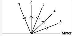 Light ray 1 strikes the smooth surface of a mirror as shown below. **IMAGE BELOW** Which-example-1