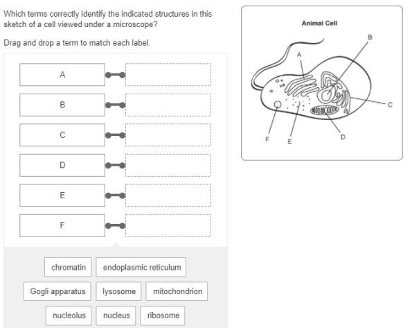 20 points, just give an actual answer please-example-1