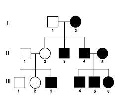 How many males in the 2nd generation are affected?-example-1