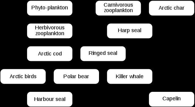 Which of the following is a Predator-Prey relationship? killer whale-capelin polar-example-1