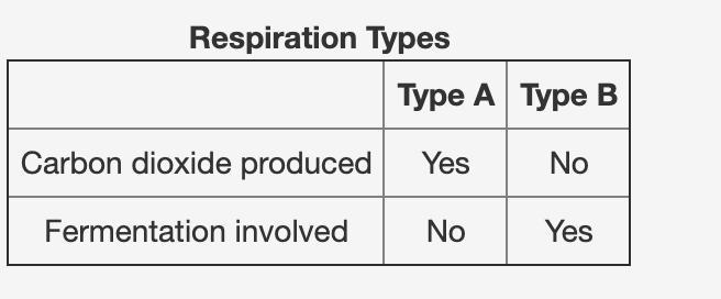 The table below compares two types of respiration. Which statement is correct about-example-1