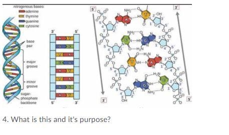 Please help me with my science hw, please-example-4