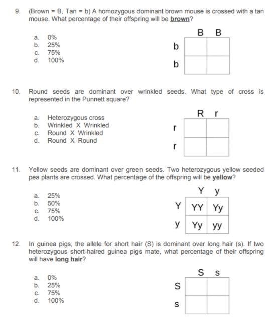 I need help with this!! Questions are in the picture!! Feel free to only do 1 or 2 questions-example-1