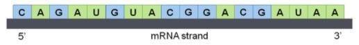 Check all ways below to ensure that the bases in RNA are properly paired. 1. Make-example-1