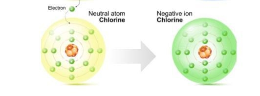 Compare the models of a chlorine atom versus a chlorine ion. How are the two different-example-1