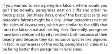 Name a domestic animal a peregrine falcon might be competing with by eating pigeons-example-1