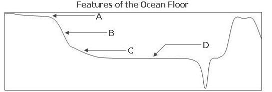 Which of the following definitions correctly describes letter C in the diagram above-example-1