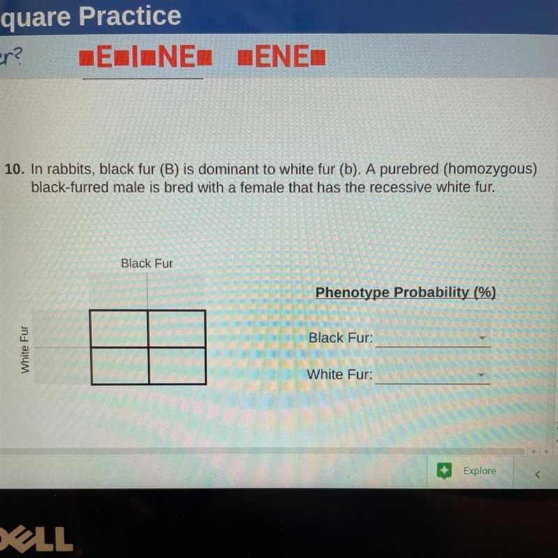 HELP what do you put into the punnett square and what is the percent of black and-example-1