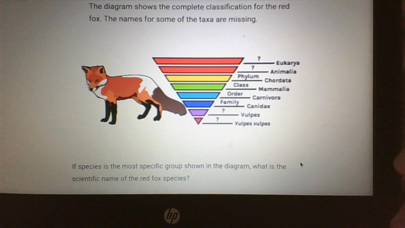 A. Animalia B. Eukarya C. Vulpes D. Vulpes vulpes-example-1