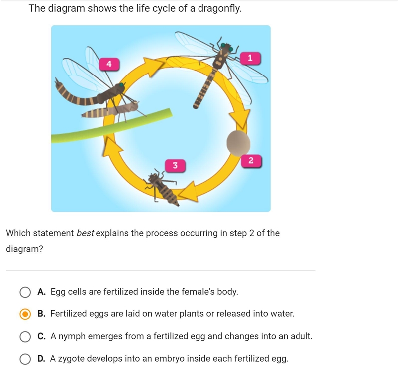 EXPERT HELP: EXPLAIN THE ANSWER-example-1