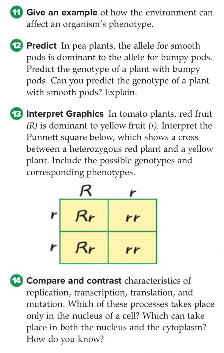 Help Answer any of the 4 questions-example-1