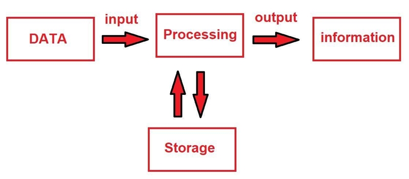 The data processing cycle consists of four steps. Draw all the steps.-example-1