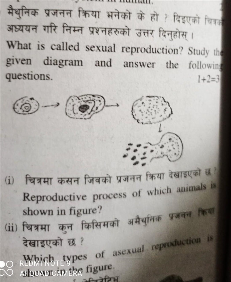 Please help me to solve this question.​-example-1