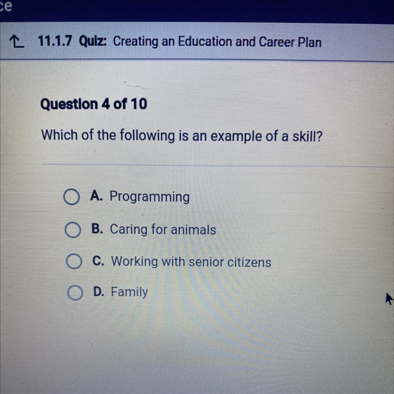 Which of the following is an example of a skill? A. Programming B. Caring for animals-example-1