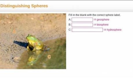 A frog sitting at the edge of a water puddle. The mud and dirt surrounding the pond-example-1