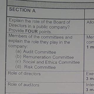 Role of risk committee and their members-example-1