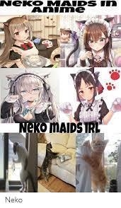 When will nekos be created?-example-1