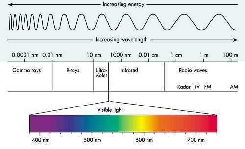 Use the image below to help you answer this question: Your friend has a red laser-example-1