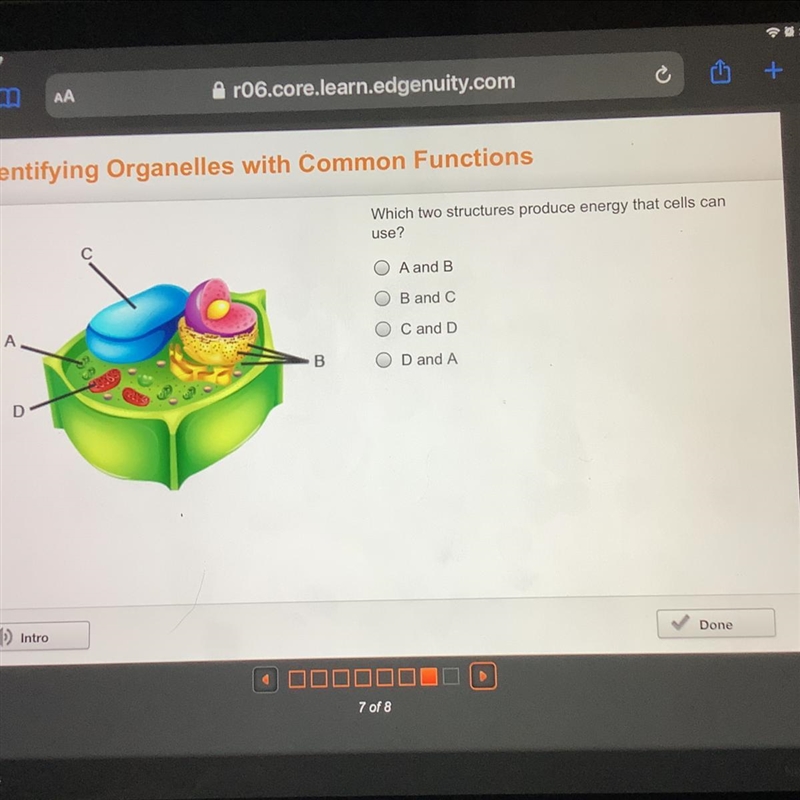 20 points! Which two structures produce energy that cells can use? A and B B and C-example-1