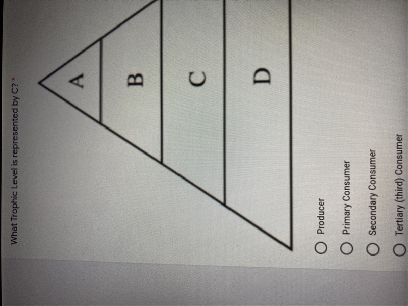 Plssss help ASAP I really need help with this y’all I’m bad at science-example-1