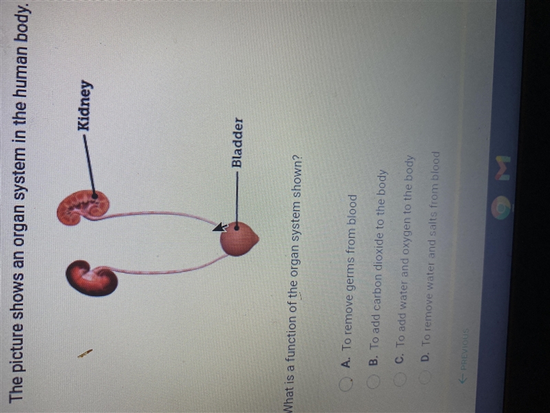 The pictures showed an organ system in the human body What is a function of the organ-example-1