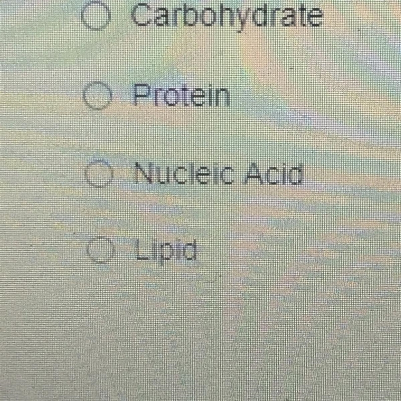 Which molecule is used as a primary energy source by our bodies?-example-1