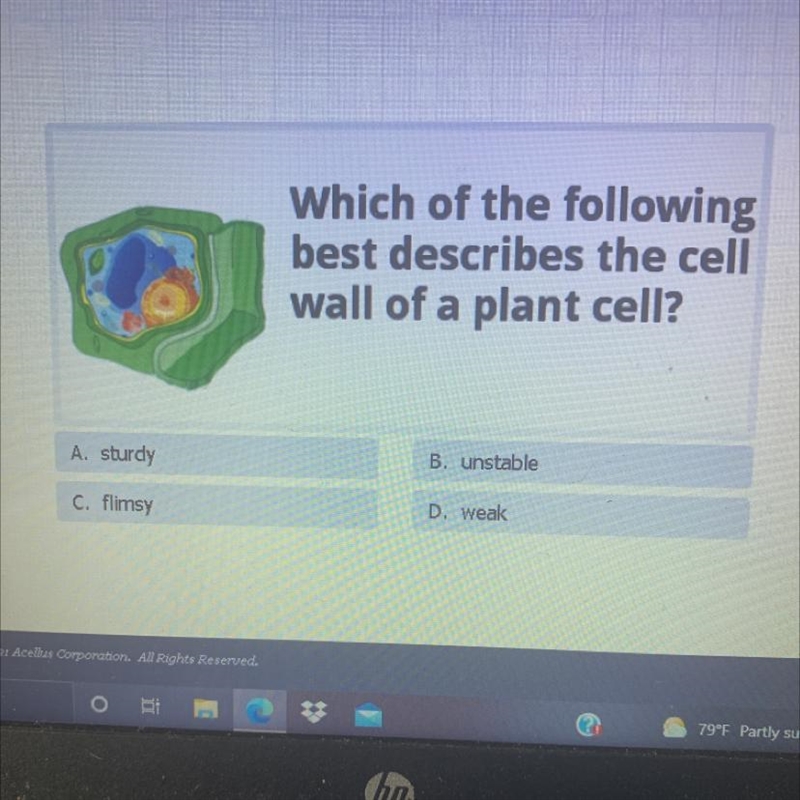 Which of the following best describes the cell wall of a plant cell? A. sturdy B. unstable-example-1