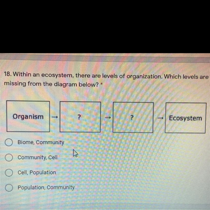 Within an ecosystem,there are levels of organization. Which levels are missing from-example-1