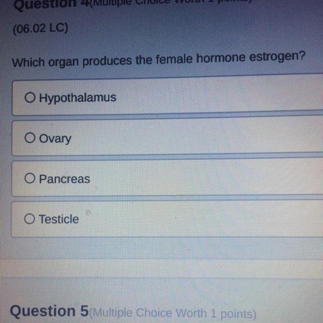 Which organ produces the female hormone estrogen-example-1