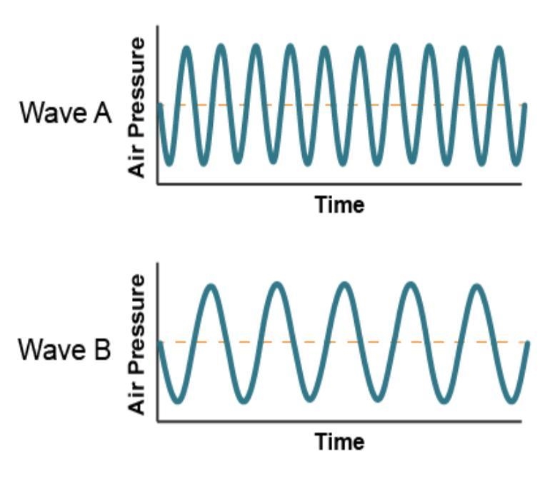 What is the motion of the particles in this kind of wave? A hand holds the left end-example-1