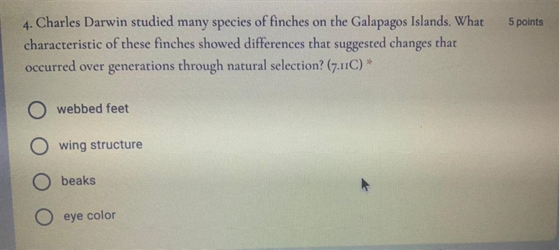 1 webbed feet 2wing structure 3beaks 4 eye color-example-1