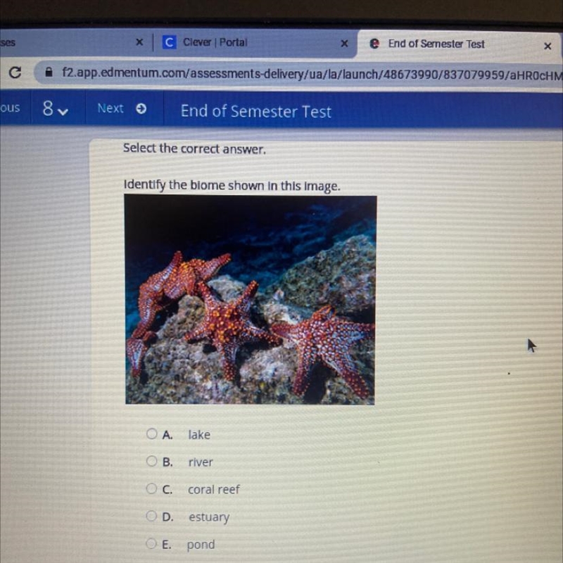 Select the correct answer. Identify the biome shown in this image. O A. lake OB. river-example-1