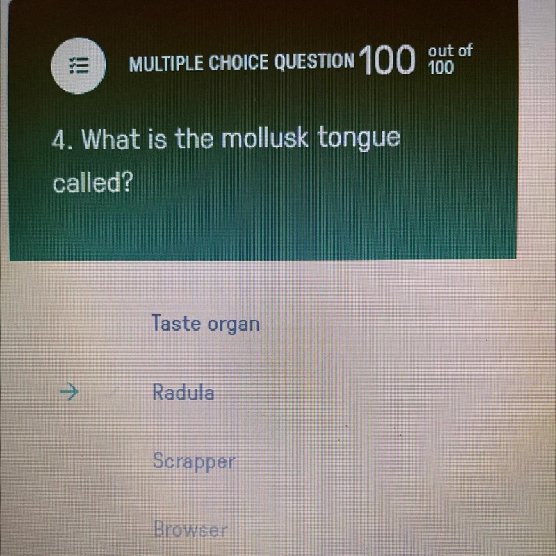 What is the mollusk tongue called? B-example-1