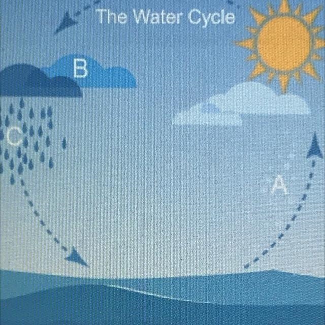 At which point does condensation occur in this water cycle diagram? The Water Cycle-example-1