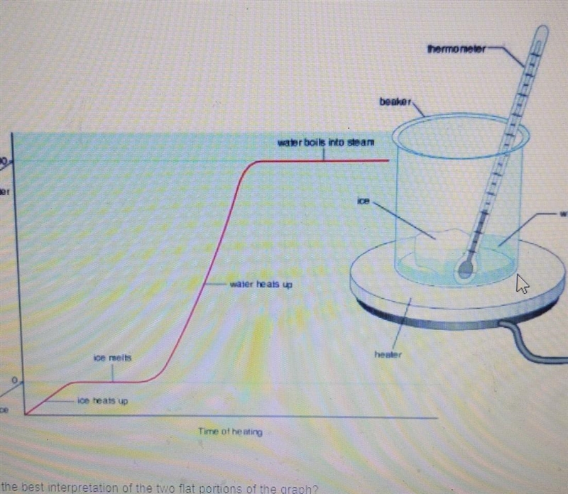 Which is the best interpretation of the two flat portions of the graph A. These show-example-1